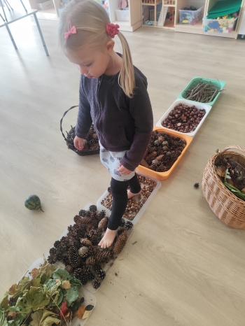 inbound8930528377142273224