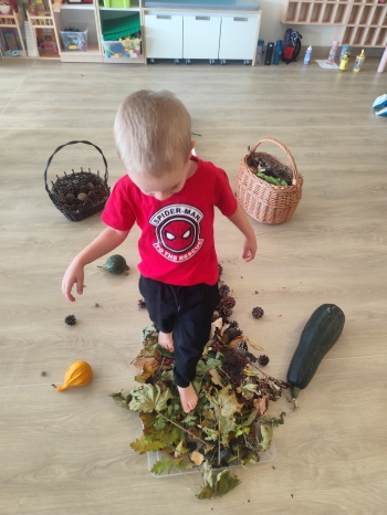 inbound5538525560797337380