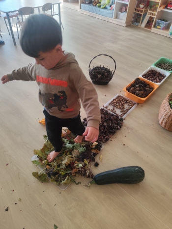 inbound423494720426321416