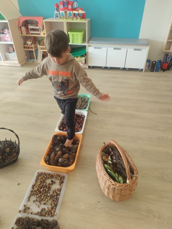 inbound8300041147638724413