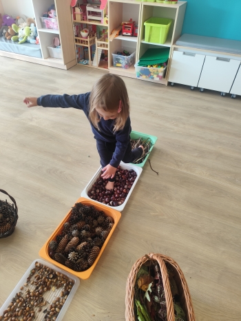 inbound2131346556320929034