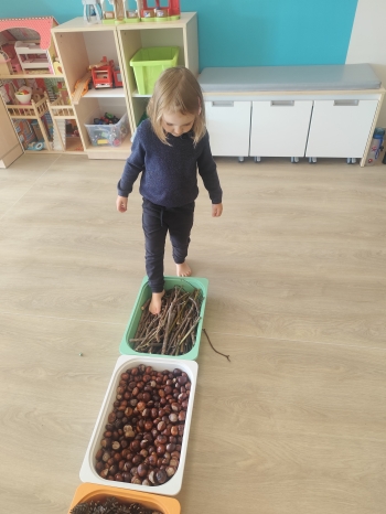 inbound2663745568768085573