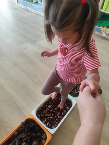 inbound7848514829092256730