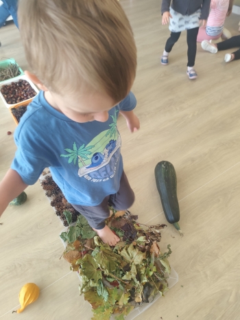 inbound4977173647009565767