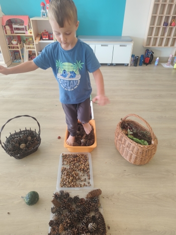 inbound3784033899429509530