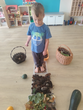 inbound4307018005083269574