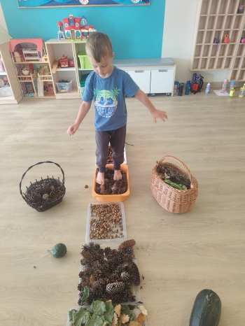 inbound7362793701005545645