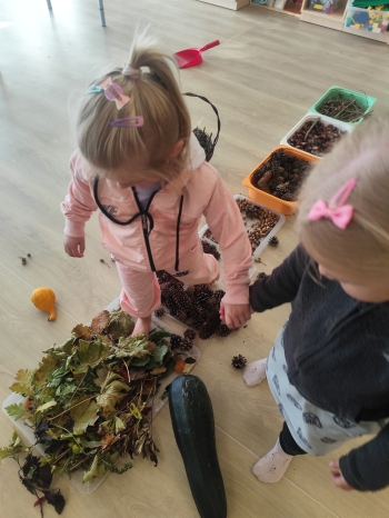 inbound8855366344494358541