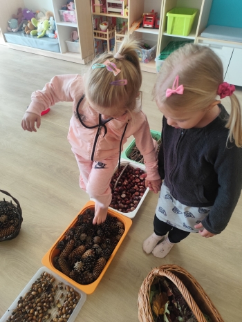 inbound5672586655690824441