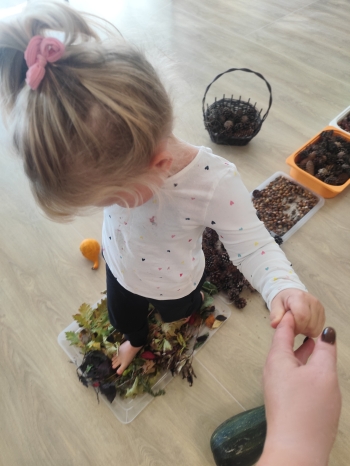 inbound1805017886249497958