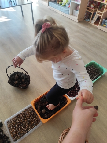 inbound8799578883638051262