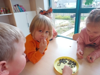 inbound3729901079741668377