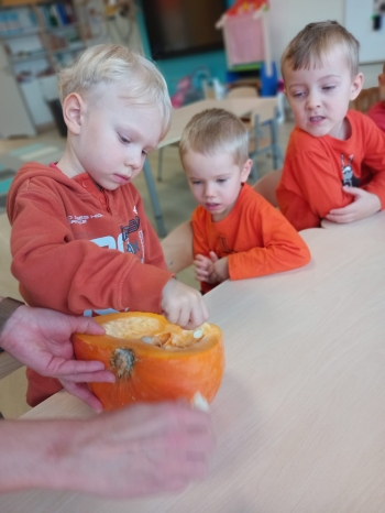 inbound3100379681650181031