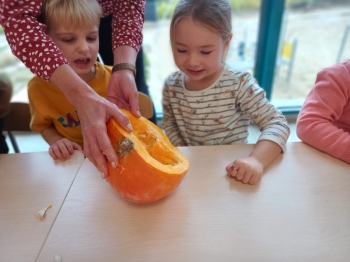 inbound2131838763698739214