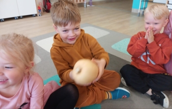 inbound3777588819023195693