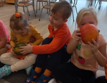 inbound2409310683915407203