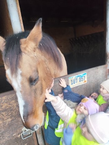 inbound2156161628351098305