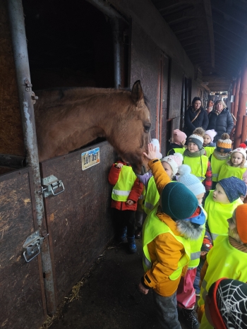 inbound1711052856434018264