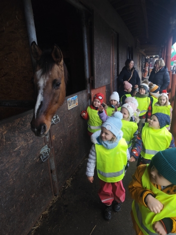 inbound25392332421247658