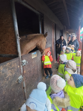 inbound9121131881762186323