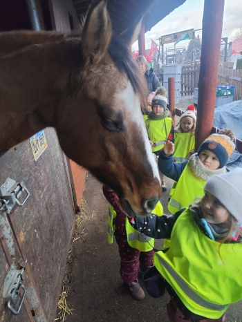 inbound3830443741744454704