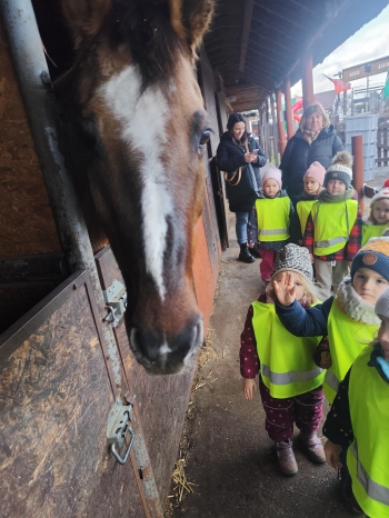 inbound4413926186777108027