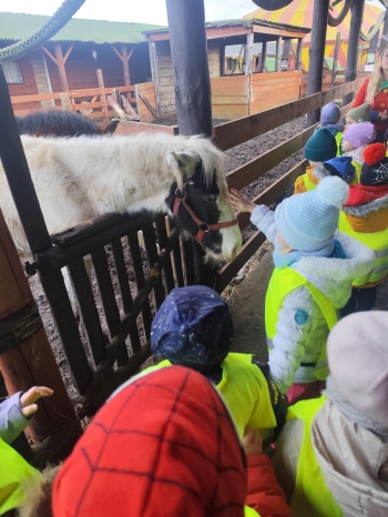 inbound356059791034527136