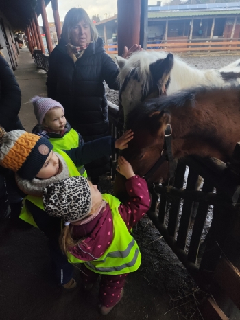 inbound459415464471193171