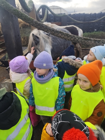 inbound1161669045391001053