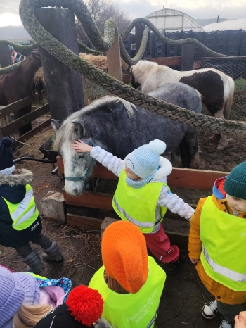 inbound3508063376849248017