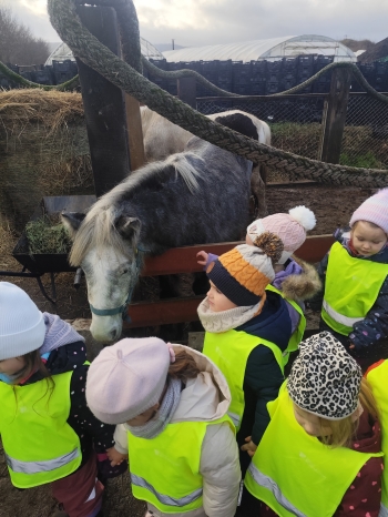 inbound8191038727122532760