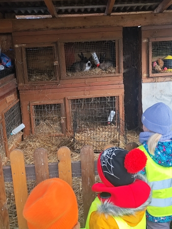 inbound4728906298364048173