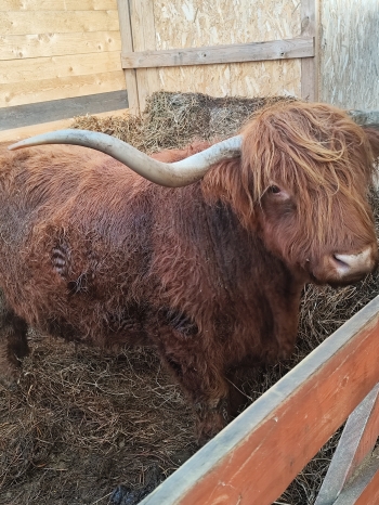 inbound6006768439235043264