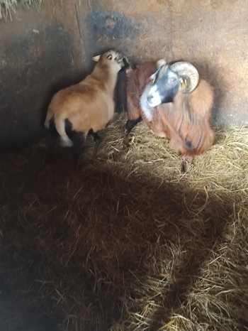 inbound1858823198002163236