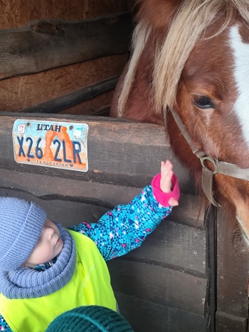 inbound6836674062576579301