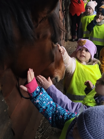 inbound6199815846691981897