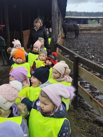 inbound9078879377194709606